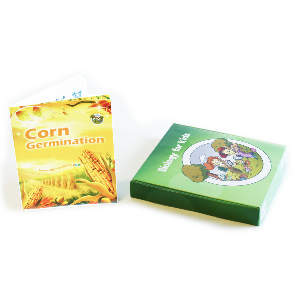 BFK1131<br/>Biology for Kids- Corn Germination