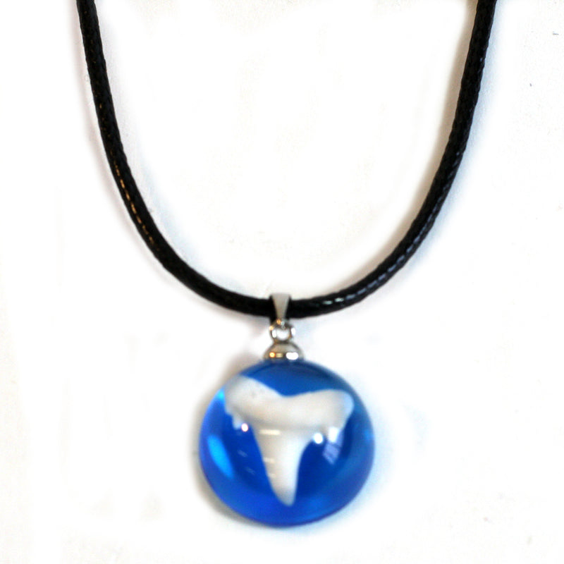 OP1001<br/>Oceanic Necklace-Shark Tooth