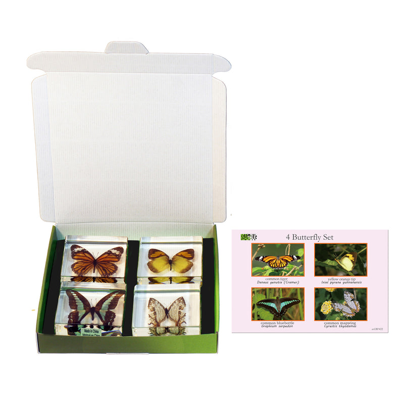 BF422<br/>4 Piece Butterfly Collection
