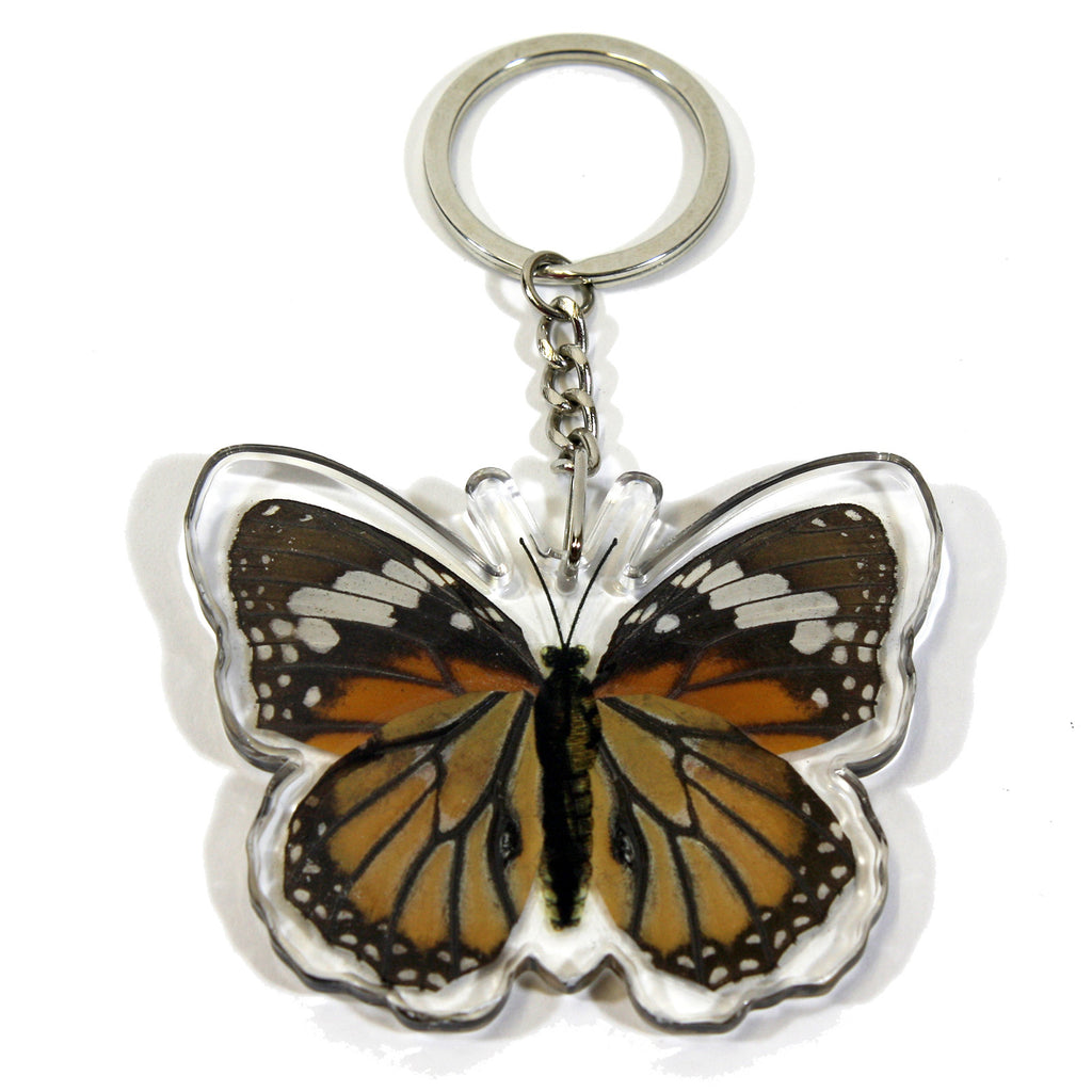 BTK110<br />Common Tiger