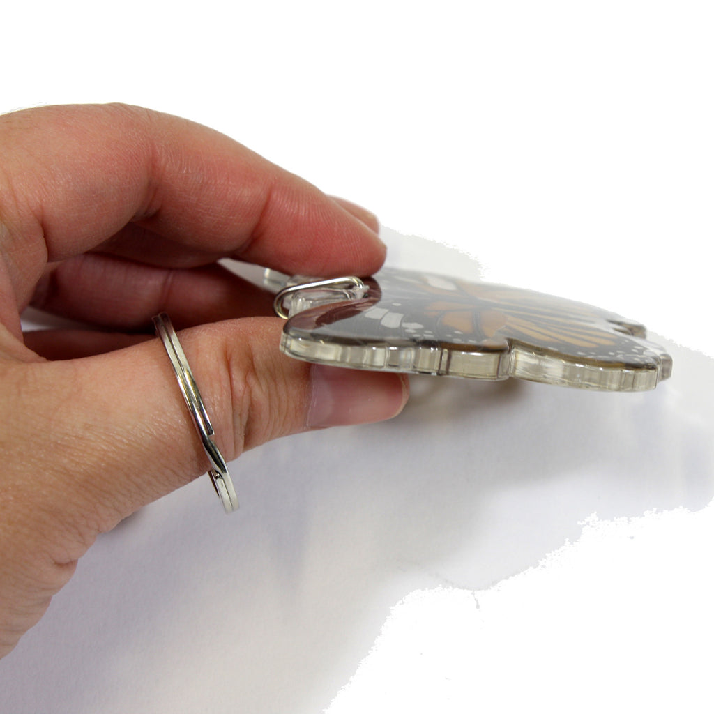 BTK110<br />Common Tiger