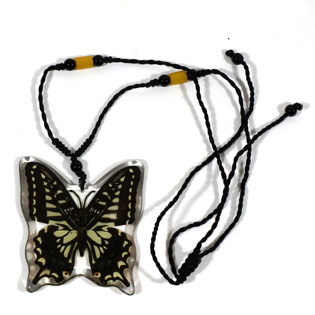 BTN102<br/>Asian Swallowtail