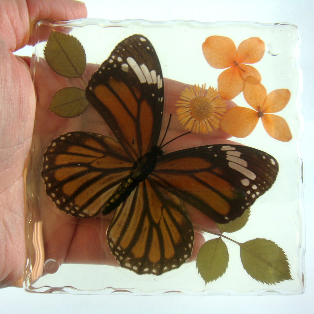 CT5022<br/>Common Tiger Butterfly, Flowers & Leaves Coaster