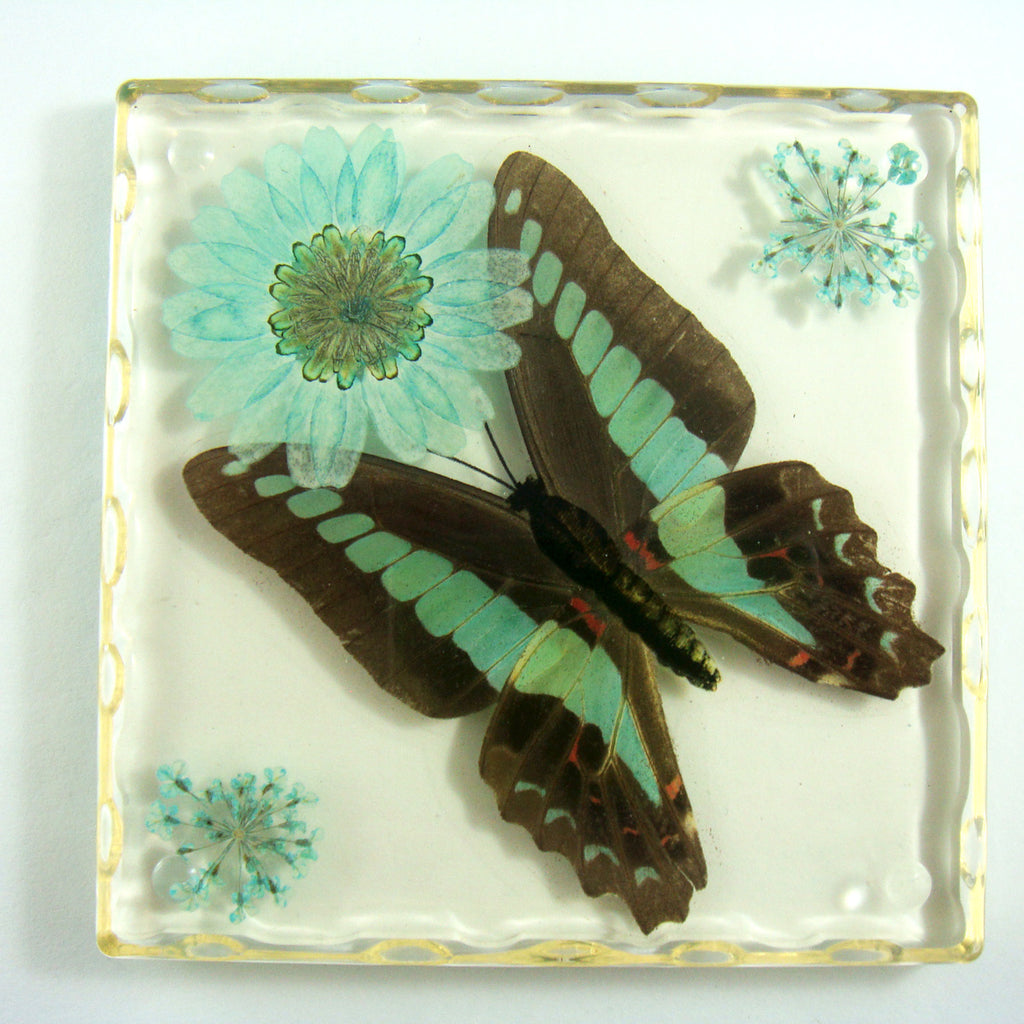 CT5024<br/>Common Blue Bottle Butterfly, Flowers & Leaves Coaster