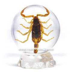 GL02<br />Golden Scorpion Globe Desk Decoration