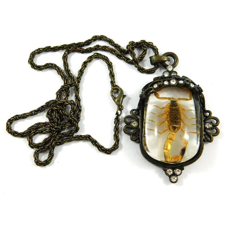 Golden Scorpion Necklace (JD104)