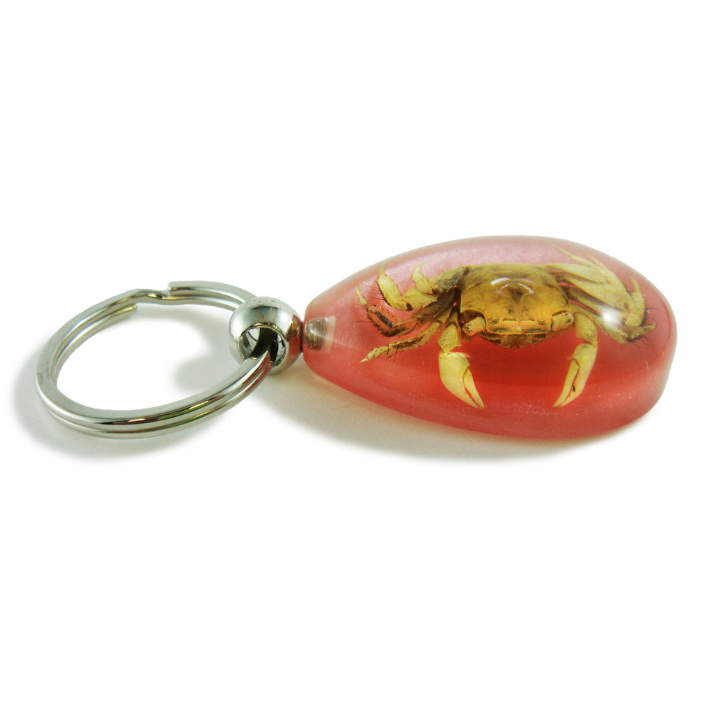 Crab Key Chain Pink Tear Drop (OK504)