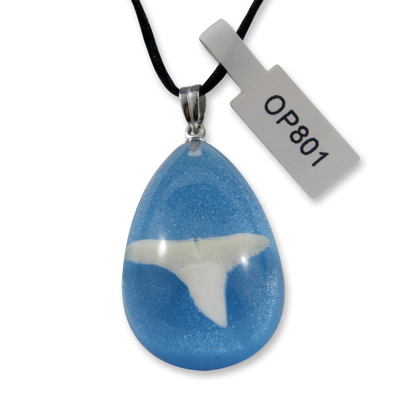 OP801<br />Shark Tooth