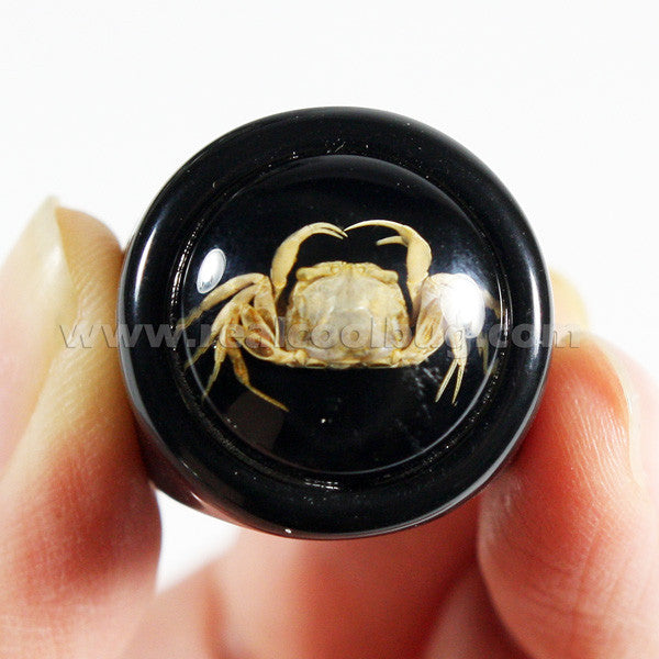 OR012<br/>Crab Ring