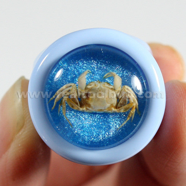 OR032<br/>Crab Ring