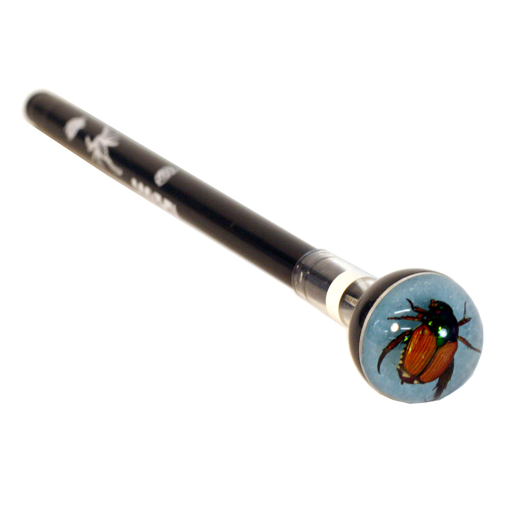 P504<br/> Black Pen, Japanese Beetle, Blue Background