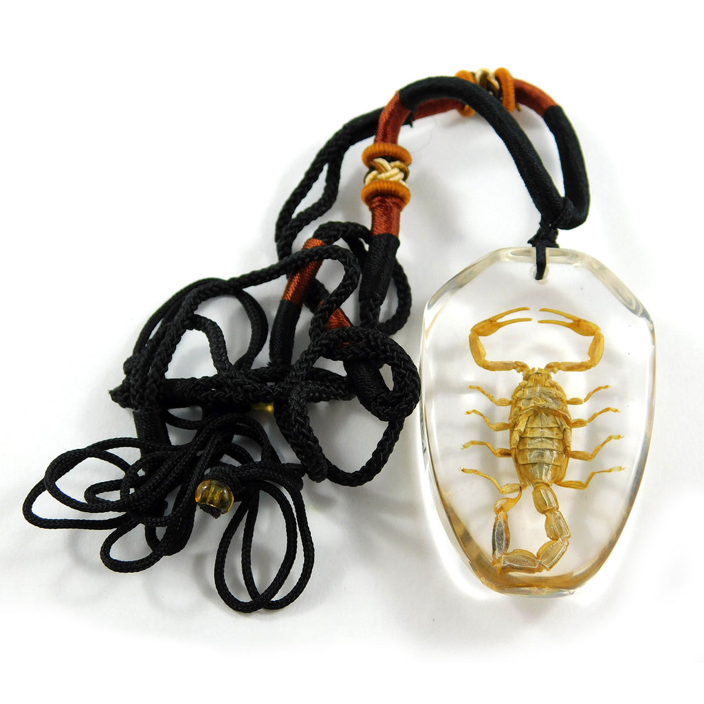 Golden Scorpion Necklace (PSB101)