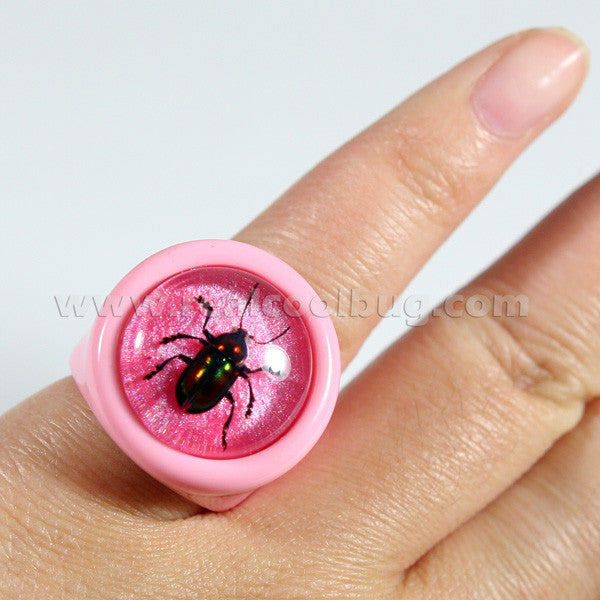 R0026<br/>Shiny Beetle Ring