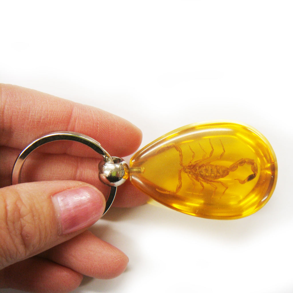 Golden Scorpion Key Chain Amber Tear drop (SK091OLD)