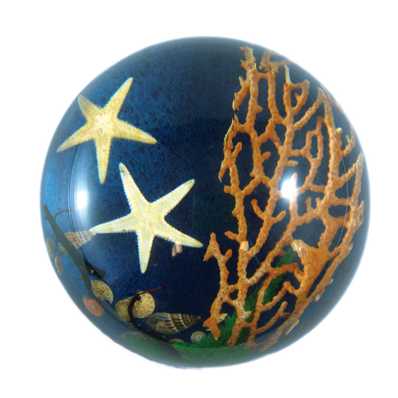 Starfish Dome Paperweight (SS231)