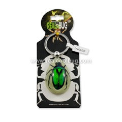 YK606<br />Green Chafer <br />Beetle