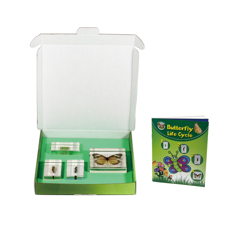 Biology For Kids