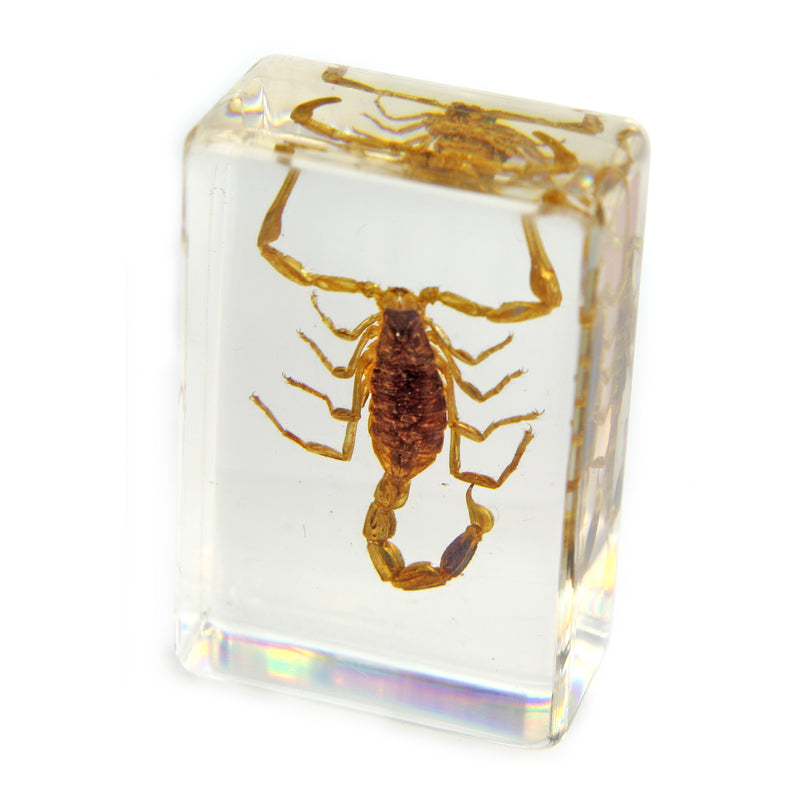 Paperweights – Tagged 
