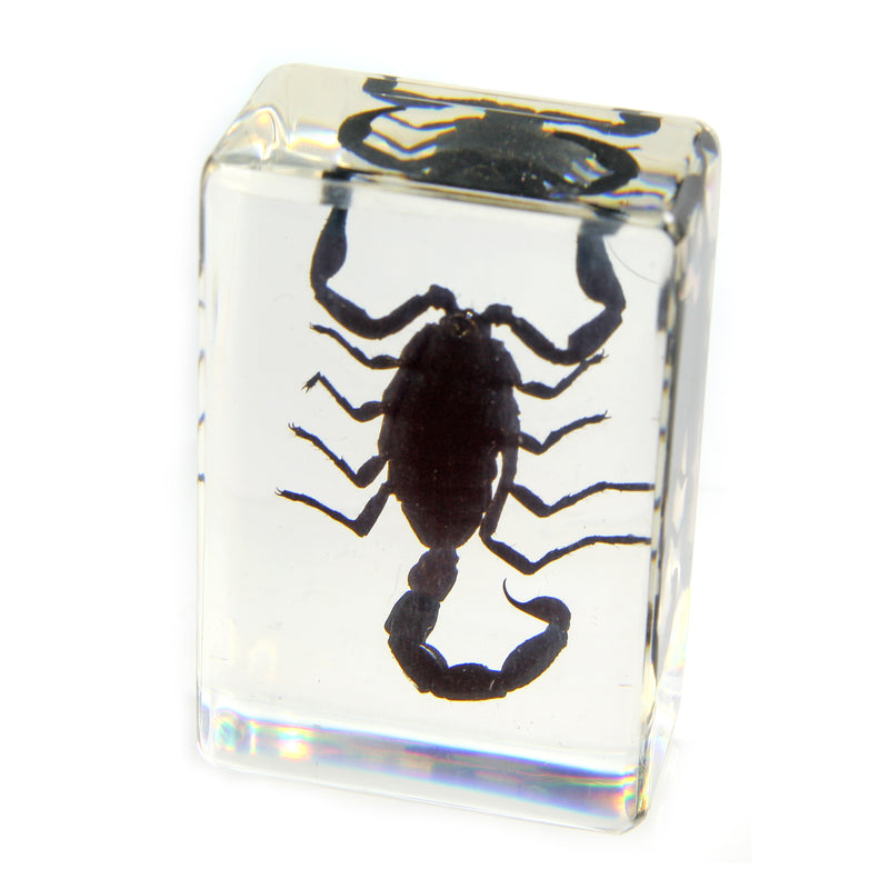 Paperweights – Tagged 