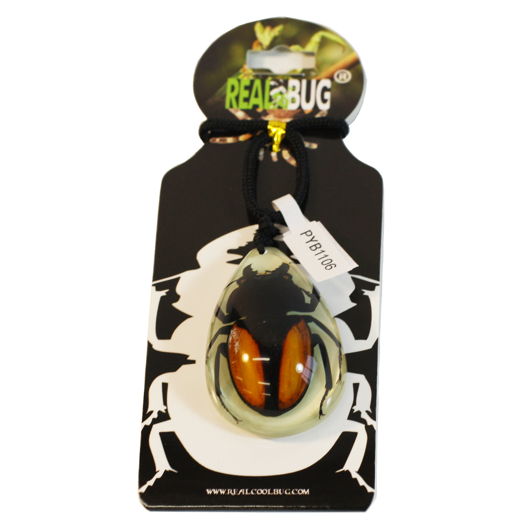 PYB1106<br />Stag Beetle<br />