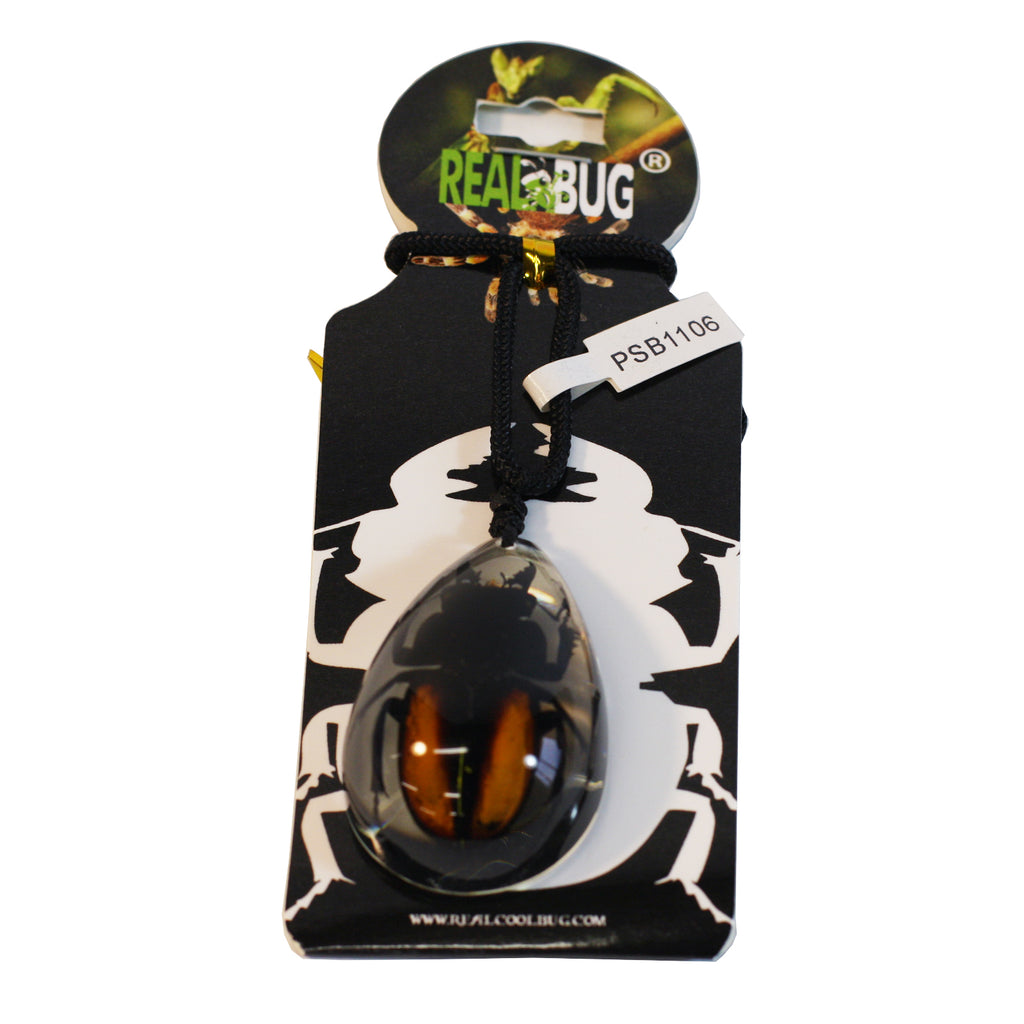 PSB1106<br />Stag Beetle<br />
