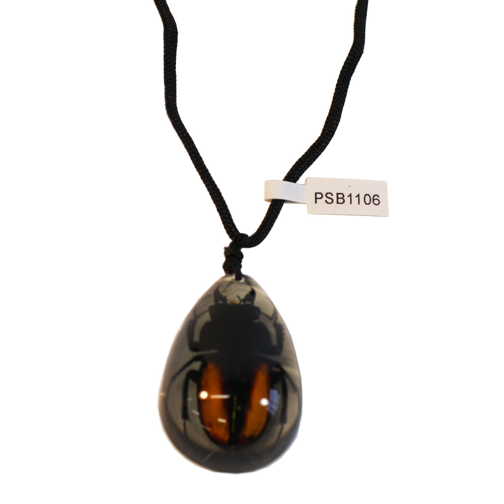 PSB1106<br />Stag Beetle<br />