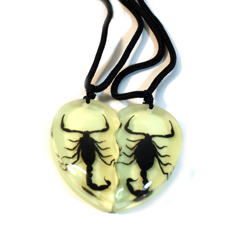 SP2213<br/>Black Scorpion Double Heart Necklace