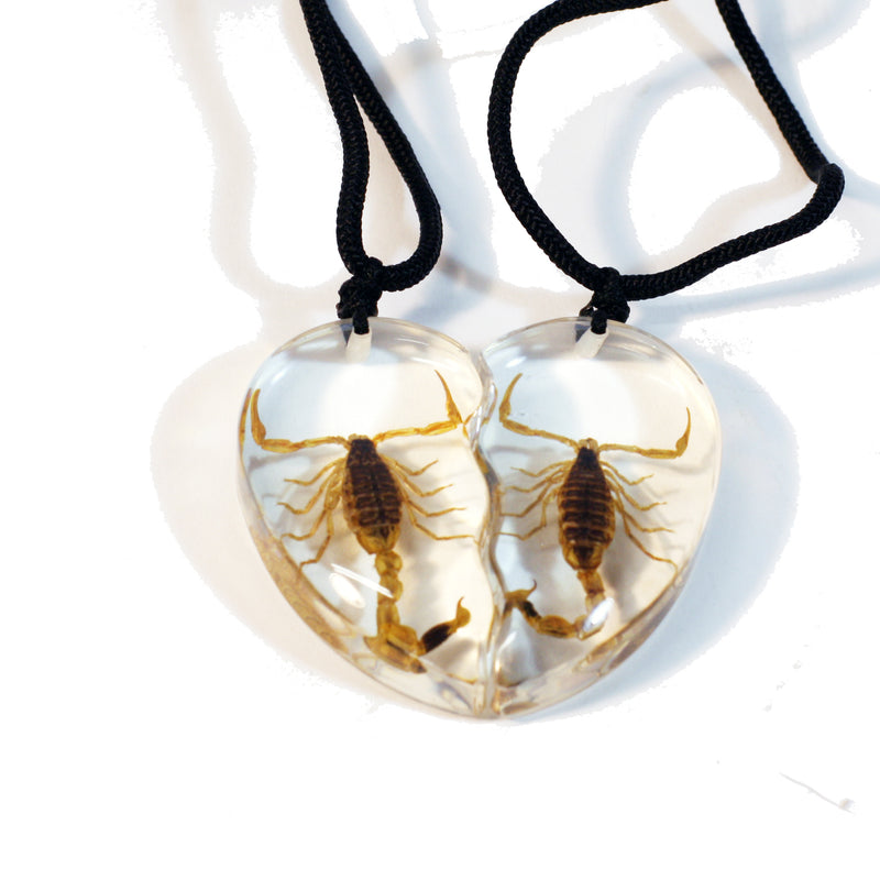 SP2211<br/>Gold Scorpion Double Heart Necklace