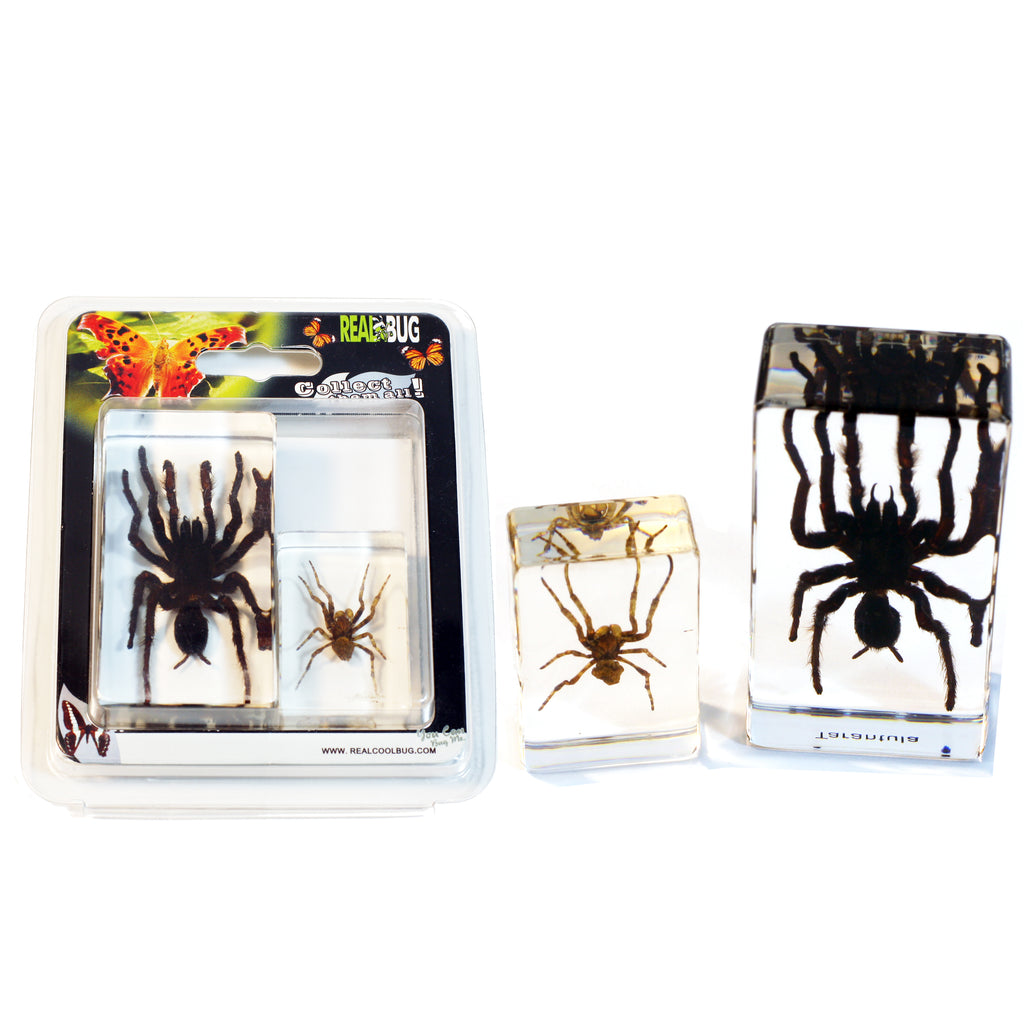 PWC424<br/>Tarantula & Spider Paperweight Collection