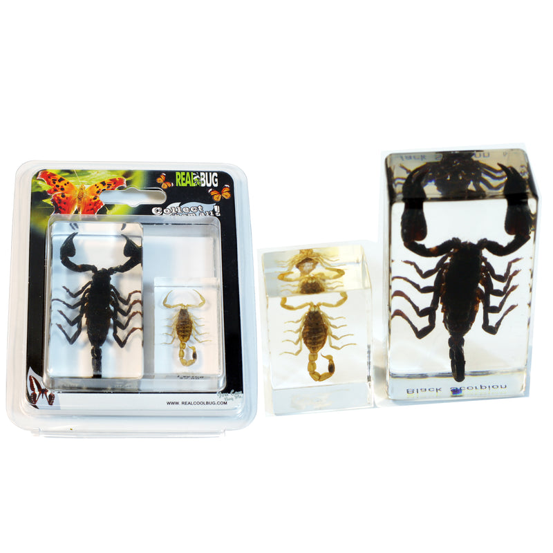 PWC425<br/>Scorpion Paperweight Collection