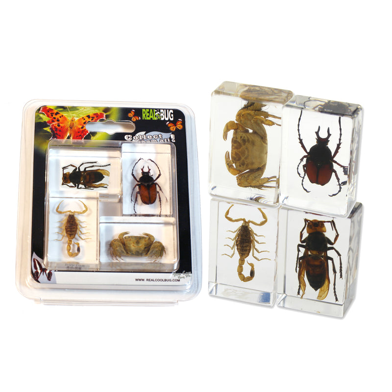 PWC443<br/>Insect & Arachnid Paperweight Collection