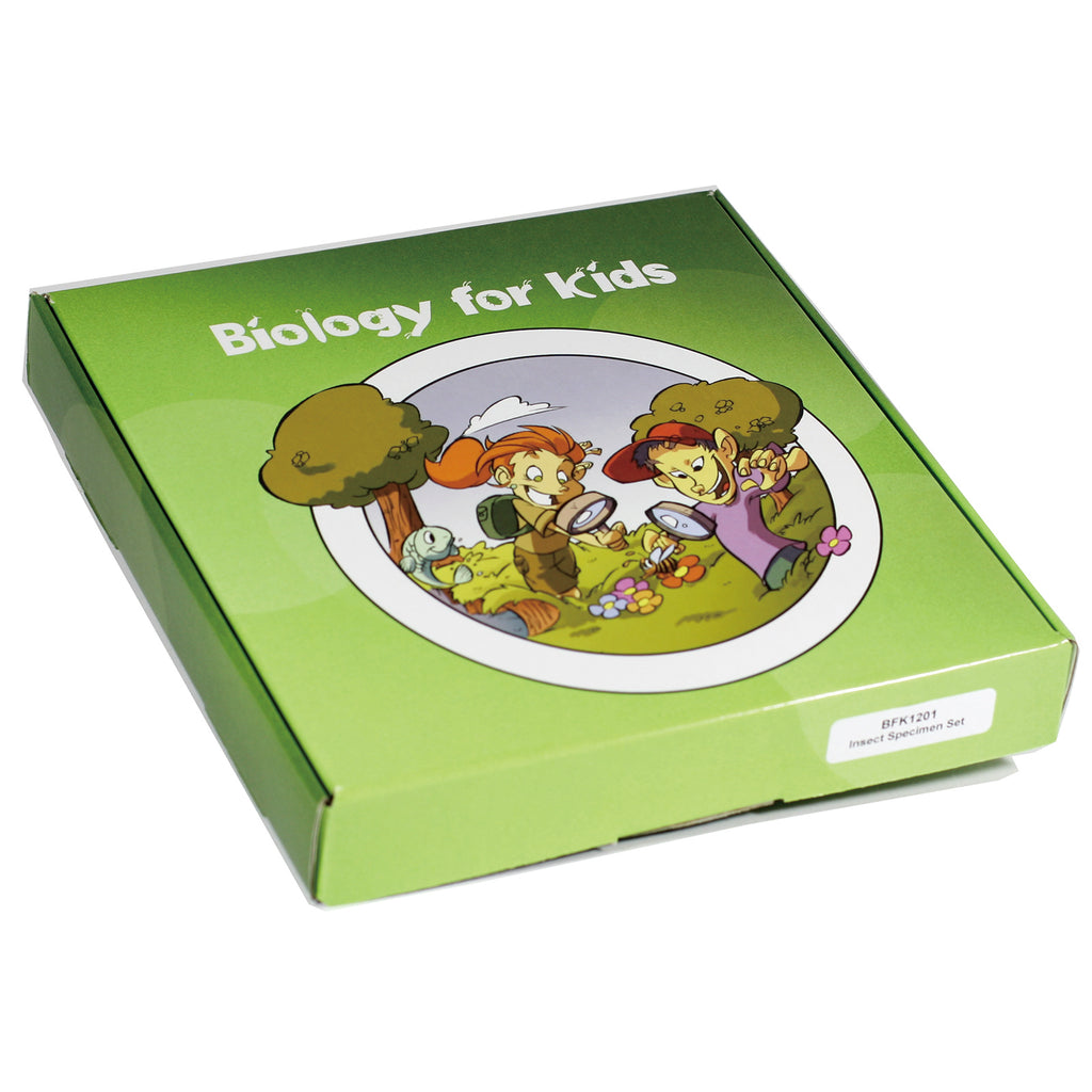 BFK1132<br/> Biology for Kids- Bean Germination