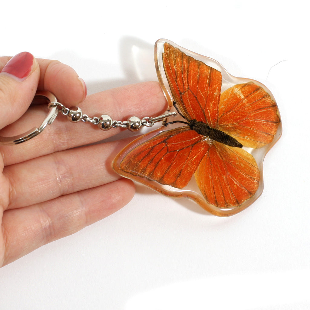 BTK103<br />Orange Albatross