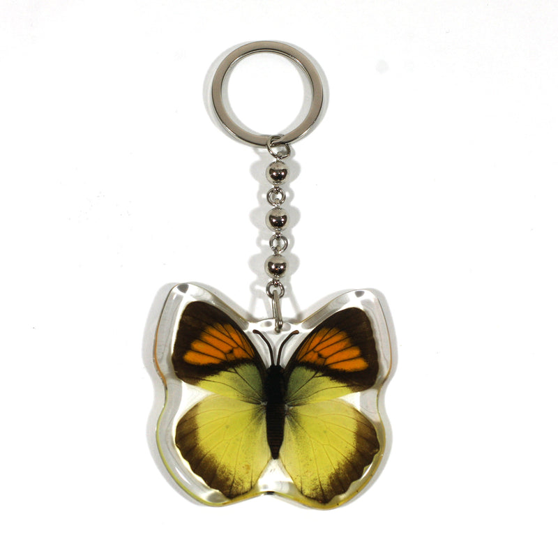 BTK107<br />Yellow Orange Tip<br />