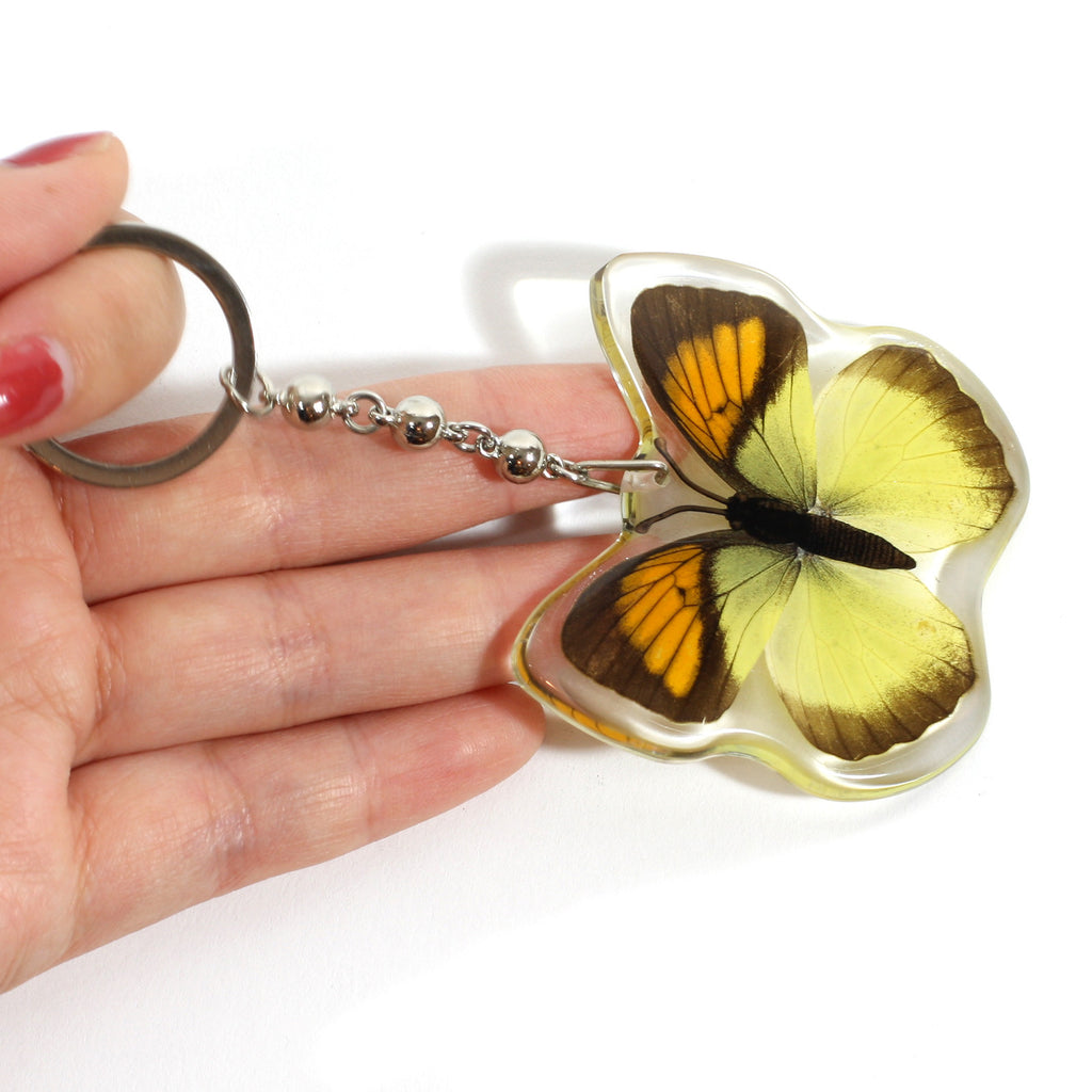 BTK107<br />Yellow Orange Tip<br />