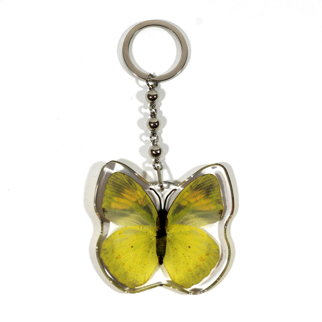 BTK107<br />Yellow Orange Tip<br />