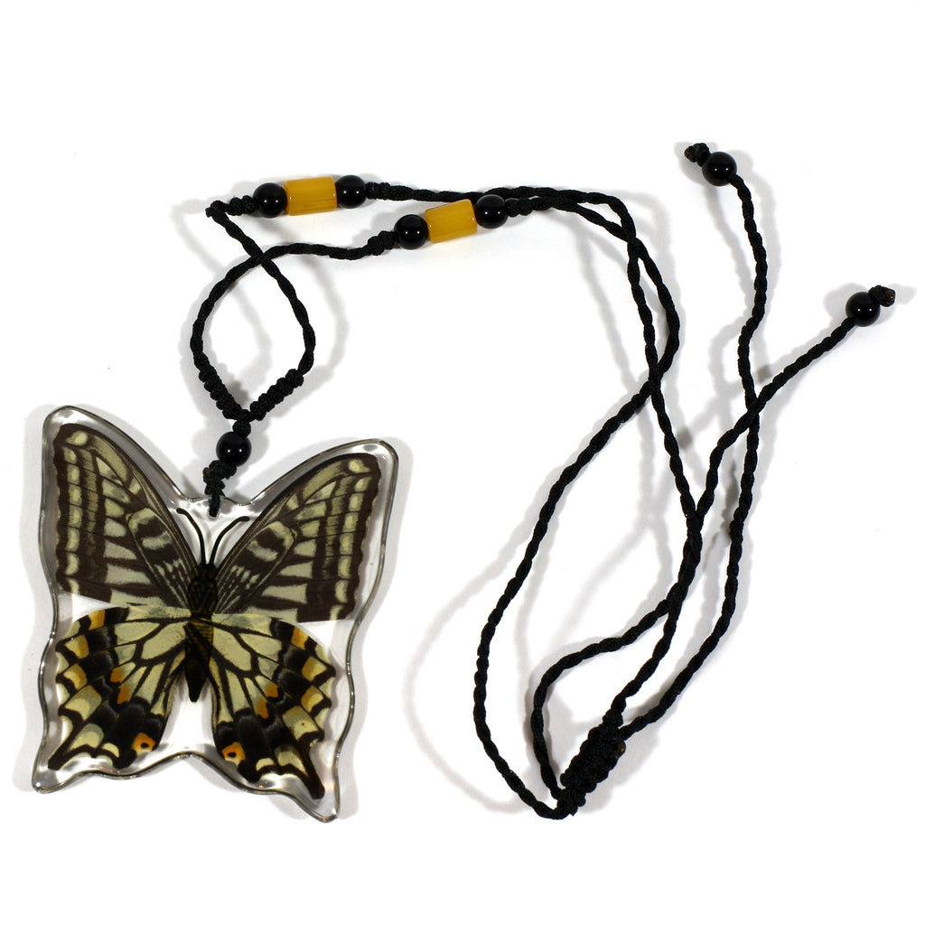 BTN102<br/>Asian Swallowtail