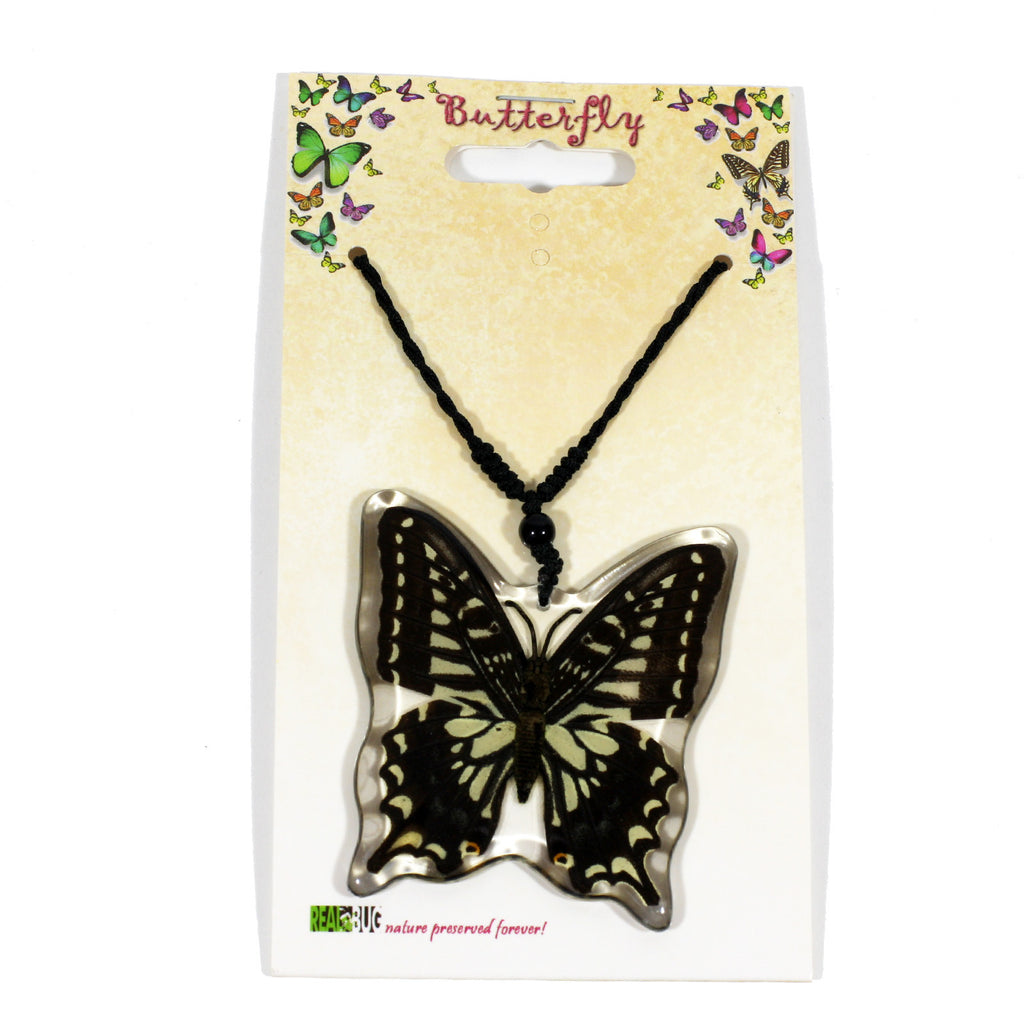 BTN102<br/>Asian Swallowtail