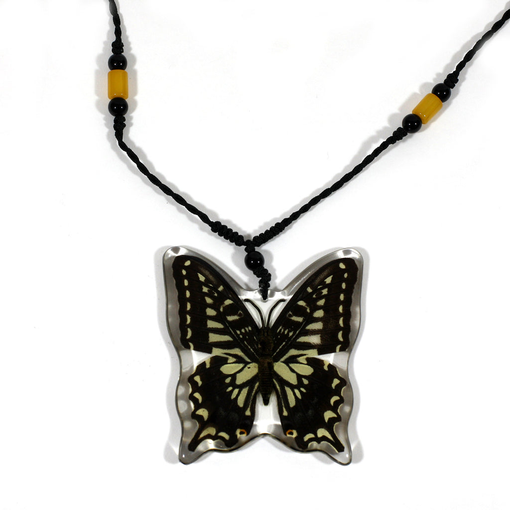 BTN102<br/>Asian Swallowtail