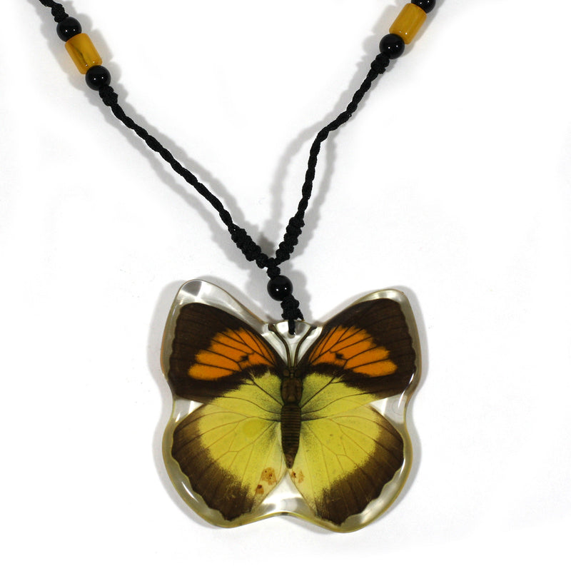 BTN107<br/>Yellow Orange Tip<br/>