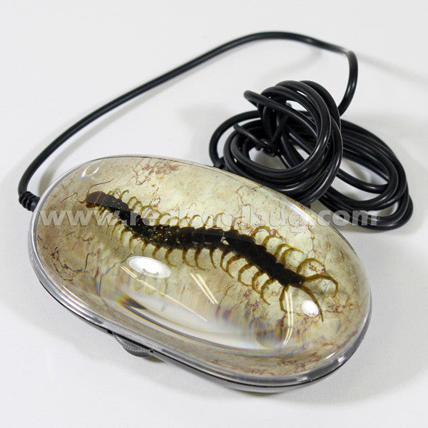 CM203<br/>Centipede Mouse