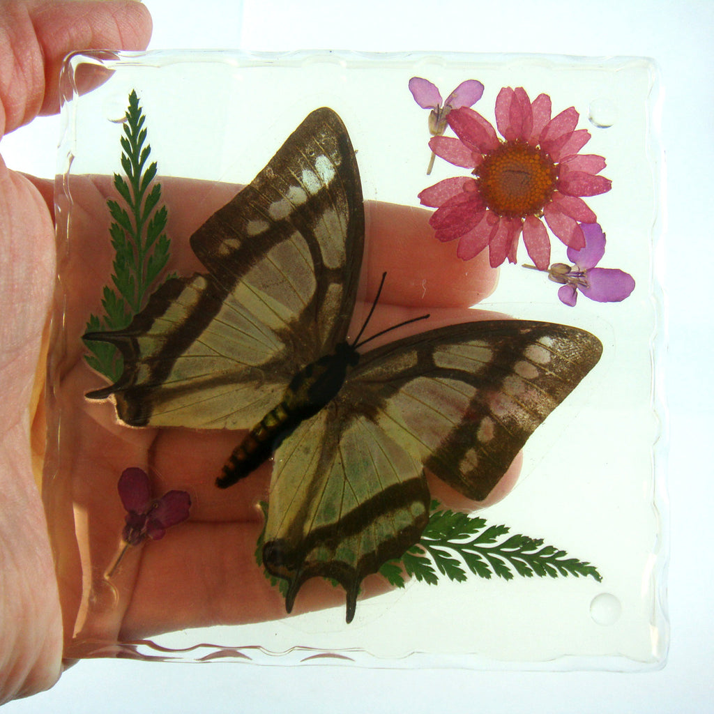 CT5021<br/>Common Nawab Butterfly, Flowers & Leaves Coaster