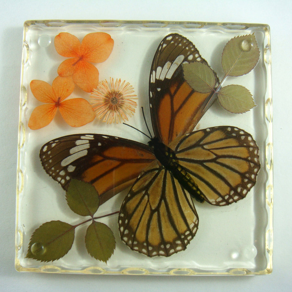 CT5022<br/>Common Tiger Butterfly, Flowers & Leaves Coaster