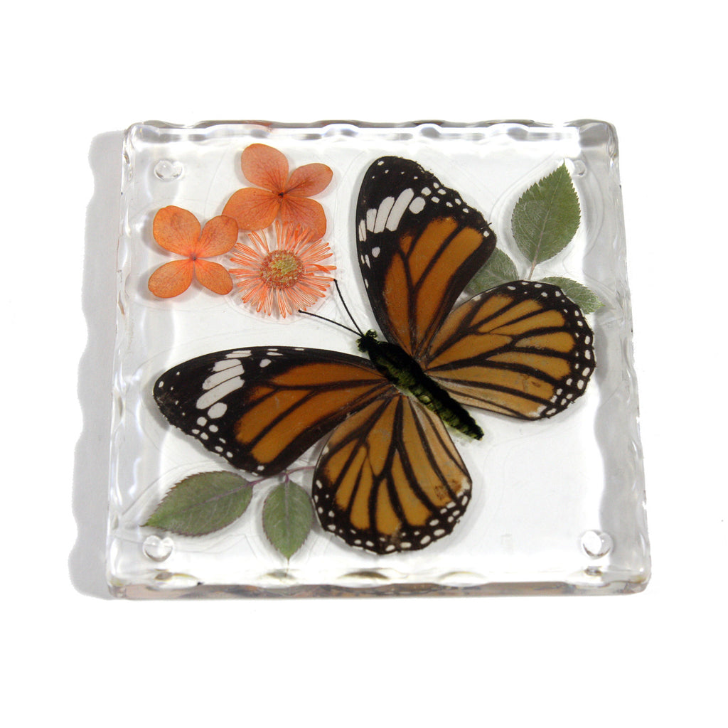 CT5022<br/>Common Tiger Butterfly, Flowers & Leaves Coaster