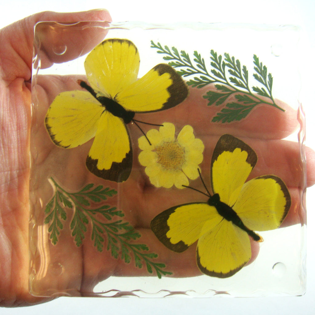 CT5023<br/>Two Grass Yellow Butterflies, Flowers & Leaves Coaster