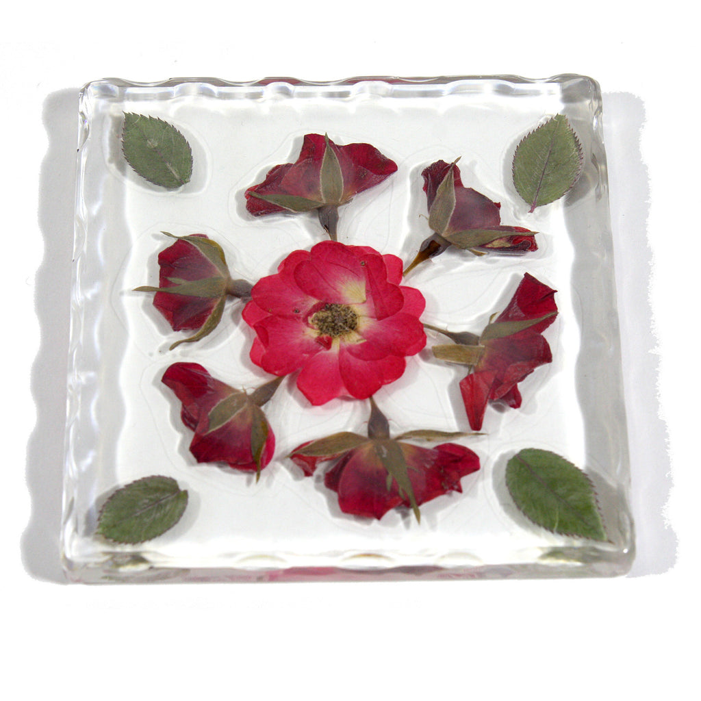 CT5034<br/>Roses Flower Coaster