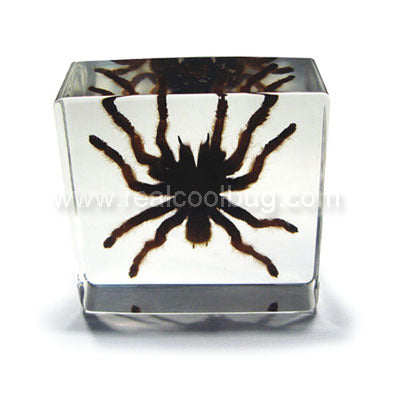 DD30S<br />Small Tarantula Desk Decoration