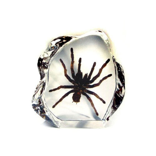 DS1101<br />Tarantula Desk Decoration