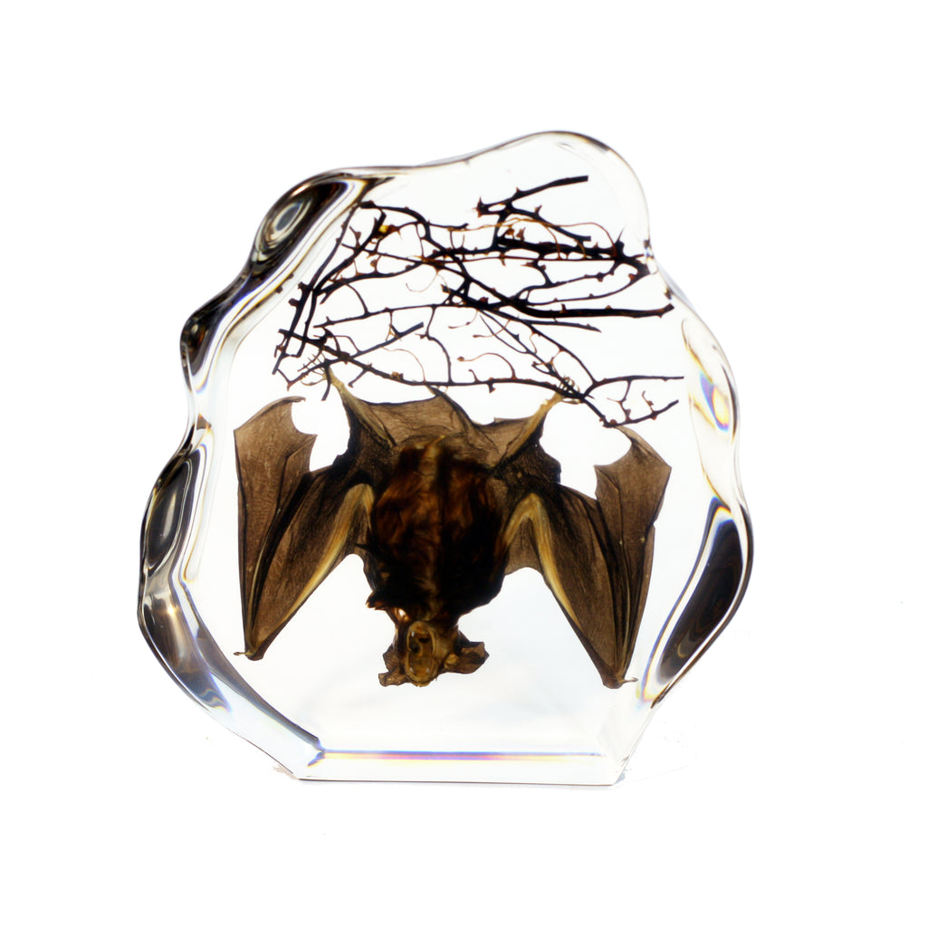 DS1119<br/>Hanging Bat Desk Decoration