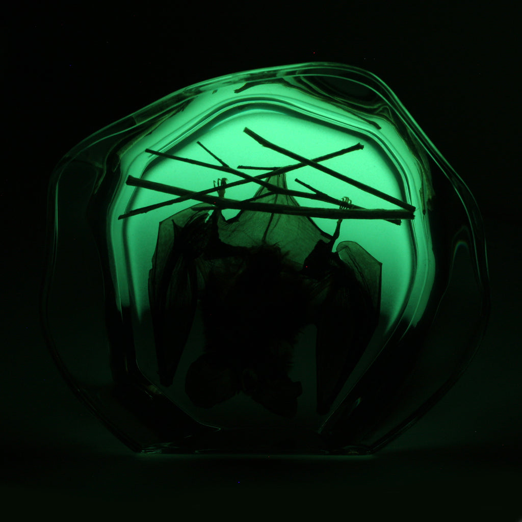 DS3103G<br/> Desk Decoration, Hanging Bat, Glow in Dark